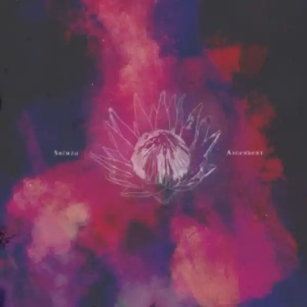 DJ Shimza - Secret Melodies